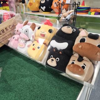 ALL_news_26D22_1NP7pAduaz